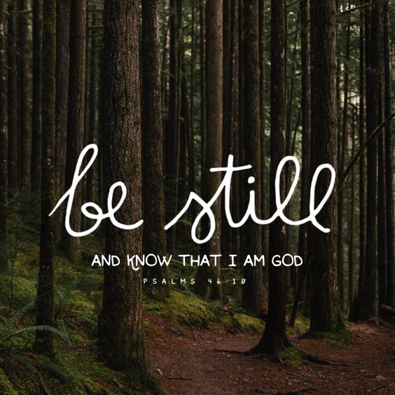 b226fc525df5f1f0bed4d75c541f76b8