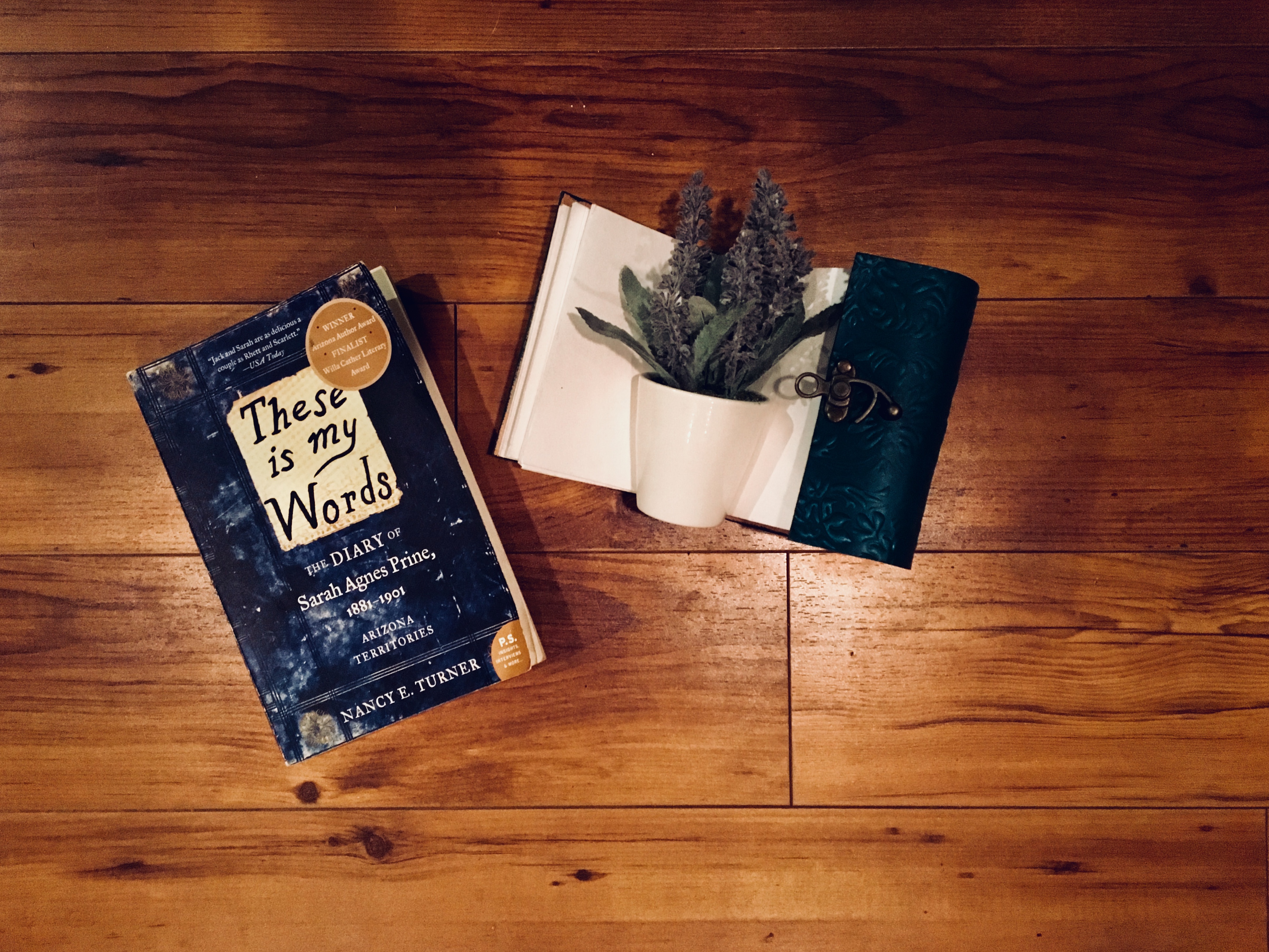 Review These Is My Words by Nancy Turner The Barista