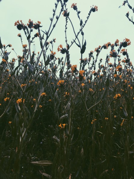 Processed with VSCO with p5 preset