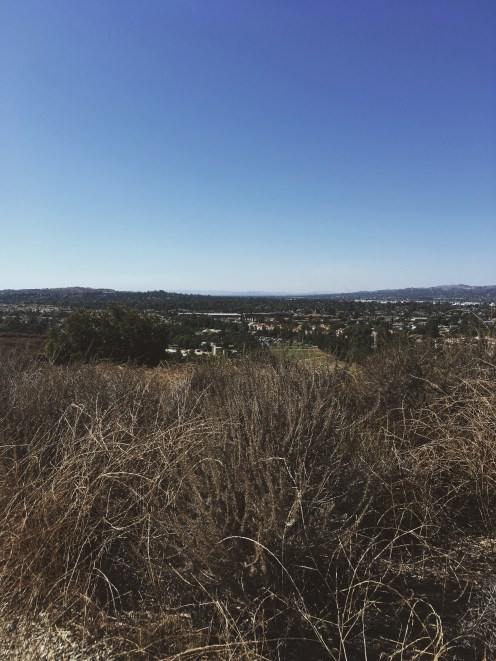 Processed with VSCO with m3 preset